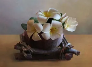 Plumeria otthoni gondozást, transzfer, reprodukció, betegség (Plumeria) Plumeria otthoni gondozást, transzfer, reprodukció, betegség