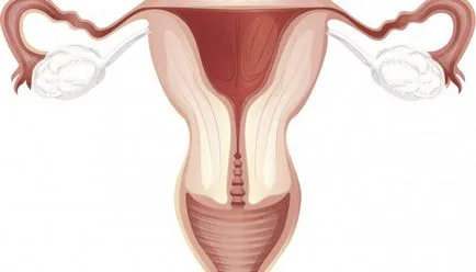 Miért van vér a menstruáció alatt, és hogyan folyik