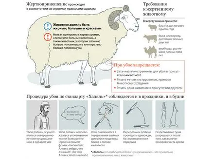 Miért muszlimok nem esznek sertéshúst (hasított vér hús) Miért muszlimok nem esznek sertéshúst