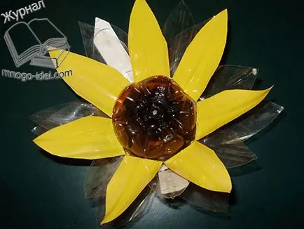 Napraforgó műanyag palackok, mesterkurzus
