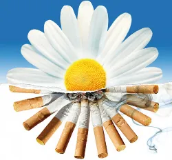 Idő előtti érését a méhlepény