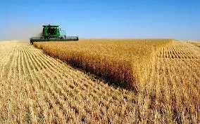 Foglalkozás agrármérnök, mintegy