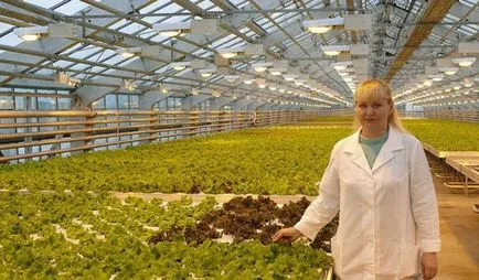 Foglalkozás agronómus (mit, hogyan lehet, hogy mennyi jövedelmet), illetéket agrármérnök,