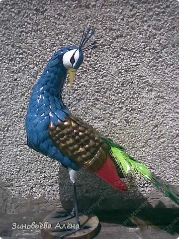 Bird - Peacock - műanyag palackok, a kertben