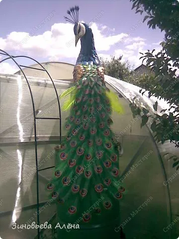 Bird - Peacock - műanyag palackok, a kertben