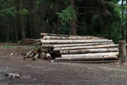 Papír előállítására, hogyan lehet papírt