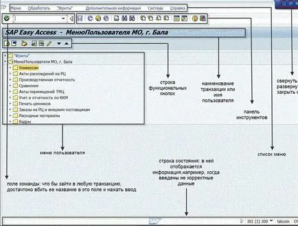 sap program, amely ezt a programot,