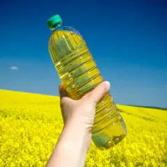 repceolaj