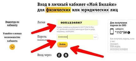 Tedd a Beeline ingyen részletes számla