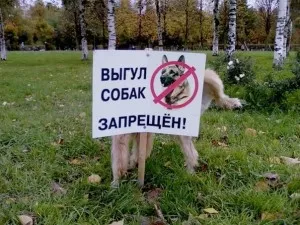 Finom séta a kutya a rossz helyen, Magyarország méretű (finom) Finom séta a kutya a rossz helyen, Magyarország méretű