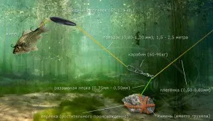 Tackles fogása harcsa a kezét, hogy a legjobb csalik és csali