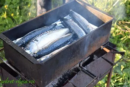 Makréla füstölt, hogyan kell a füst halat otthon