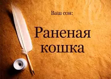 Álom foglaljon egy sebesült macska a vér egy álom, hogy mi álmok