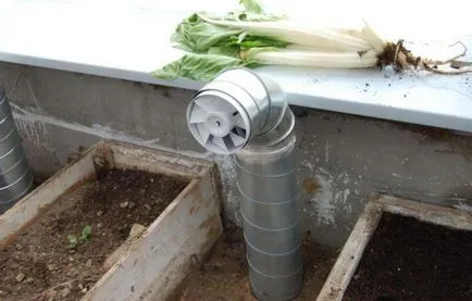 Sunny bio vegetary saját kezűleg