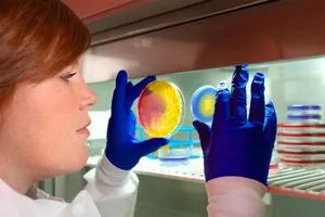 Staphylococcus haemolyticus (hemolitikus Staphylococcus aureus) a férfiak tünetek, kenet és kultúra