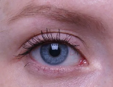 Mi össze hét különböző típusú szempillaspirál Maybelline, szépség bennfentes (térfogat szempillaspirál) Mi össze hét különböző típusú szempillaspirál Maybelline, szépség bennfentes