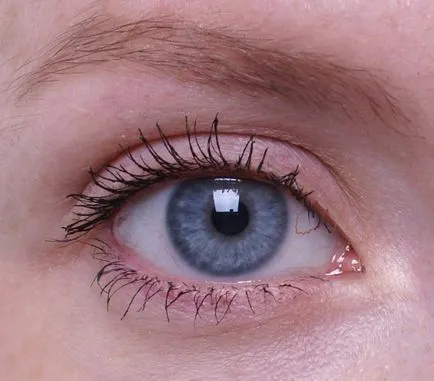 Mi össze hét különböző típusú szempillaspirál Maybelline, szépség bennfentes (bennfentes) Mi össze hét különböző típusú szempillaspirál Maybelline, szépség bennfentes