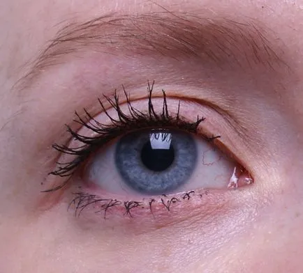 Mi össze hét különböző típusú szempillaspirál Maybelline, szépség bennfentes (szépség) Mi össze hét különböző típusú szempillaspirál Maybelline, szépség bennfentes