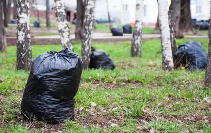 Megtisztítása a koncepció, jelentősége, története előfordulása, szombaton ma képek (szombaton) Megtisztítása a koncepció, jelentősége, története előfordulása, önkéntes munka ma, fotók