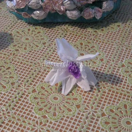 Esküvői mester osztály „Candy Swans” lépésről lépésre fotók (összetétele) Esküvői Master Class „candy Swans” lépésről lépésre fotók
