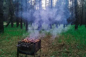 Burn kezelés medvetalp