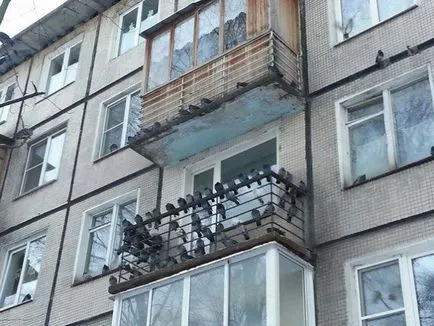 Hogyan lehet megszabadulni a galambok az erkélyen