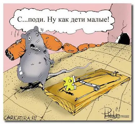 Hogyan lehet megszabadulni az egerek