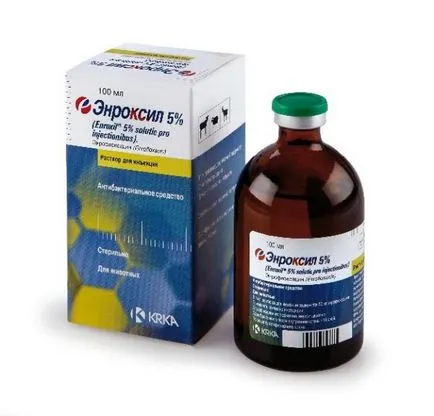 antibiotikum csirkék antibiotikum csirkék