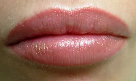 Lip tetoválás árnyékoló, hogyan mennek a dolgok, fotók, vélemények és ár (fotó) Lip tetoválás árnyékoló, hogyan mennek a dolgok, fotók, vélemények és ár