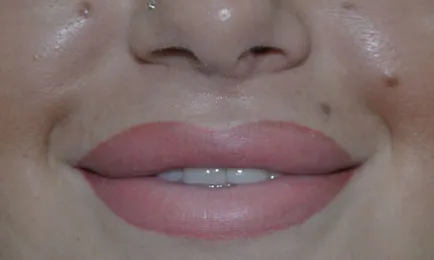 Lip tetoválás árnyékoló, hogyan mennek a dolgok, fotók, vélemények és ár (árnyékolás) Lip tetoválás árnyékoló, hogyan mennek a dolgok, fotók, vélemények és ár