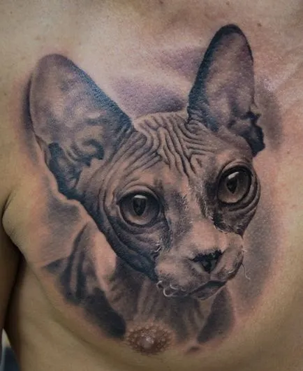 Tattoo cat értéke lányok, fiúk, és - az övezetben