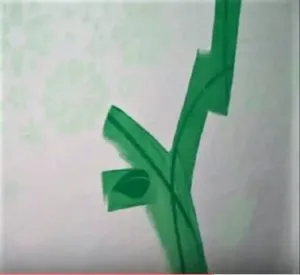 Stencil fali dekoráció dísz minta, útmutatást, hogy a saját kezét, videók és fotók