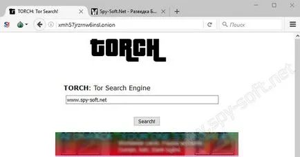 Tor kereső vagy tórusz hálózatot találni a megfelelő honlapon hagyma