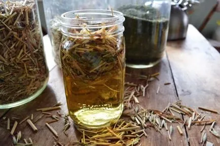 Herbs méh endometriózis, amely kezelt (méh) Herbs méh endometriózis, amelynek tisztítása