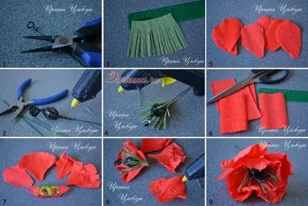 Tortát édességet elegáns mák - master class Iriny Tsybun