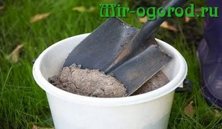 Műtrágyák uborkára a nyílt terepen