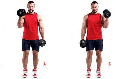 Három gyakorlatok brachialis masszív bicepsz (a szivattyú brachialis) Három gyakorlatok a bicepsz brachialis tömeges