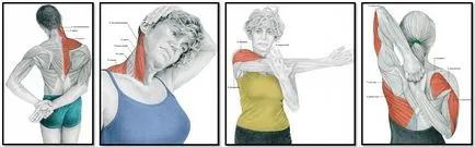 Stretching gyakorlatok vagy izom nő nagy és nagyon nagy