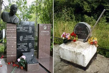 Valery Kharlamov - életrajz, fotók, személyes élet, a jégkorong és a halál okát