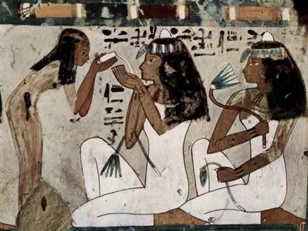 Care Cleopatra avokádó olaj, ilang-ilang, jojoba és olíva vélemények