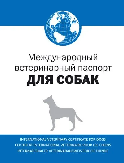 Állat-egészségügyi bizonyítvány a kutyák számára (állatorvosi) Állat-egészségügyi bizonyítvány kutyák
