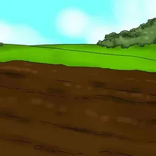 Növekvő uborka a nyílt terepen video, milyen a növény palánták és gondozása növények