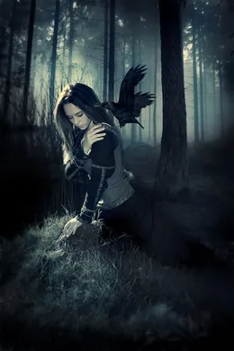 Crow - mi az értelme az ilyen jelek varjak (varjak) Ravens - mi az értelme az ilyen jeleket a varjak