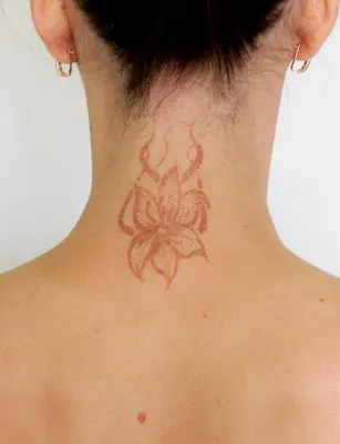 Mindent a hennafestés otthon