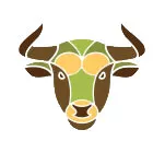 Jellemzői a ram, születési év