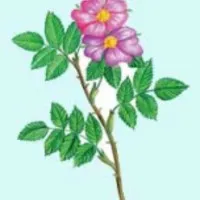 Szoknya szoknyában a kezüket, hogyan lehet egy szoknya tüll tetoválás, jelölje mesterkurzus