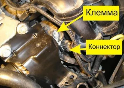 Cseréje a vezérműszíj ford focus 2 saját kezűleg (videó) utasítást fotókkal