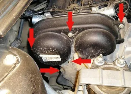 Cseréje a vezérműszíj ford focus 2 saját kezűleg (videó) utasítást fotókkal