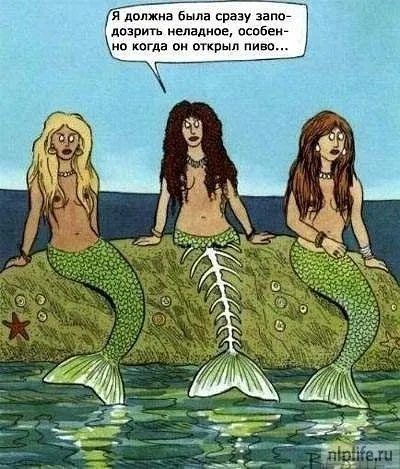 Mi gyakran választják Mi gyakran választják