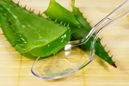 Mitől Aloe